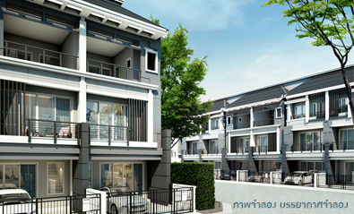 banner-project-details